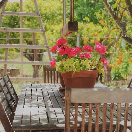 Ca'N Guiri, Eco Finca In Mallorca กัมปาเนต ภายนอก รูปภาพ
