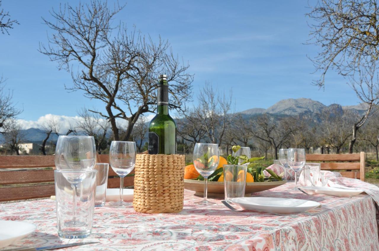 Ca'N Guiri, Eco Finca In Mallorca กัมปาเนต ภายนอก รูปภาพ