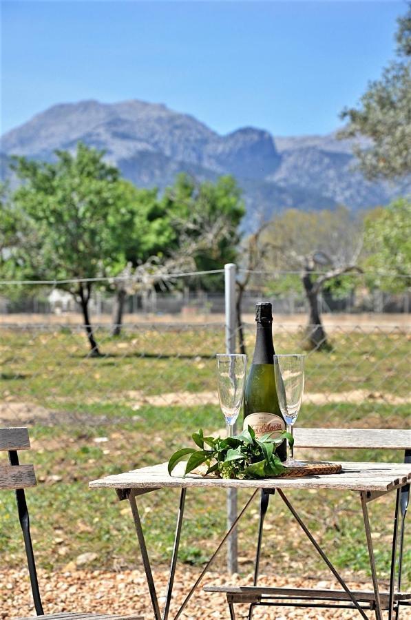Ca'N Guiri, Eco Finca In Mallorca กัมปาเนต ภายนอก รูปภาพ